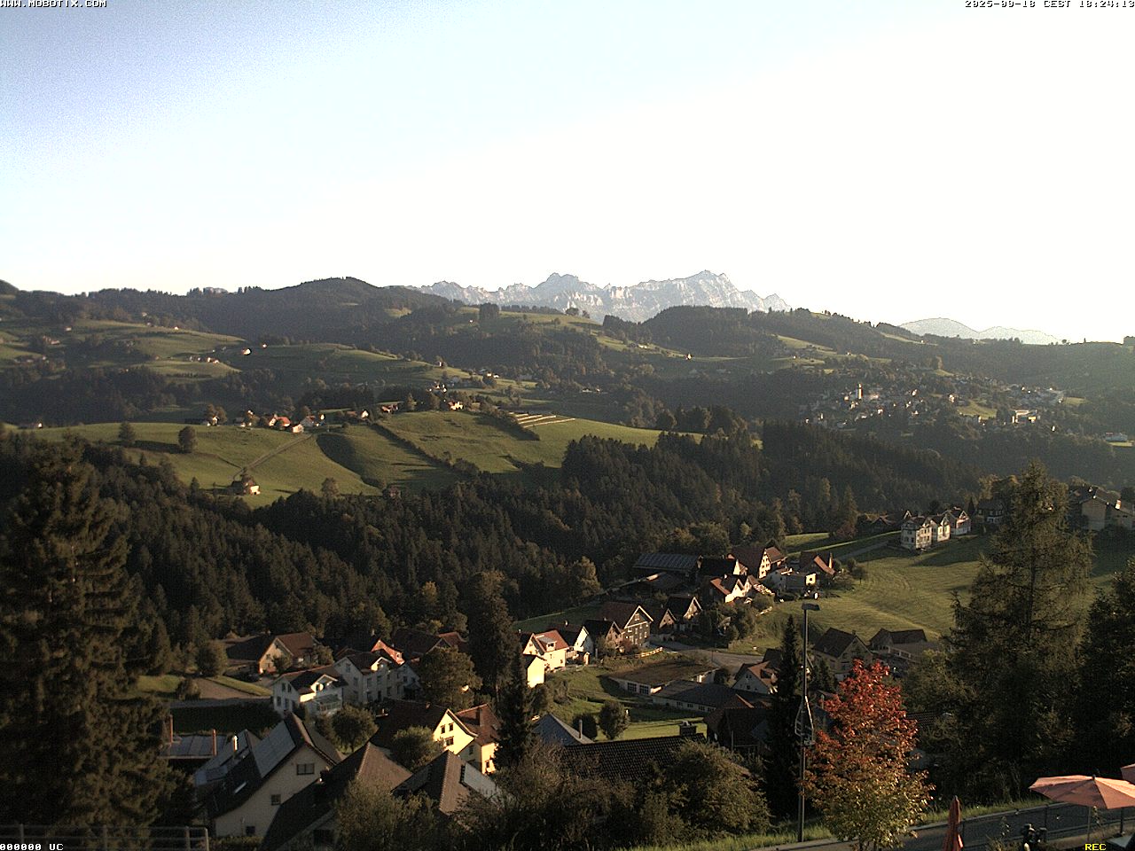Camera Live Image
