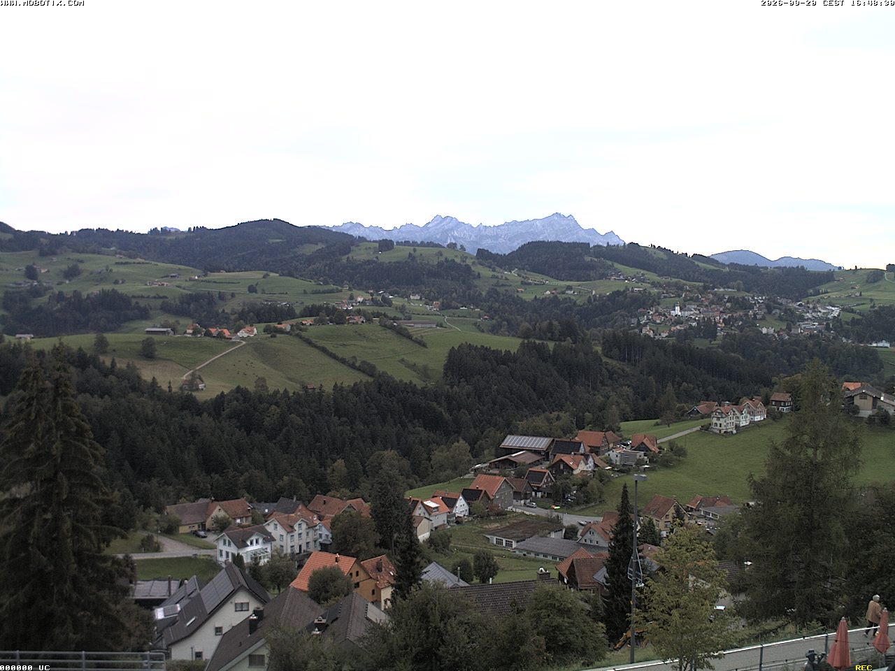 Camera Live Image