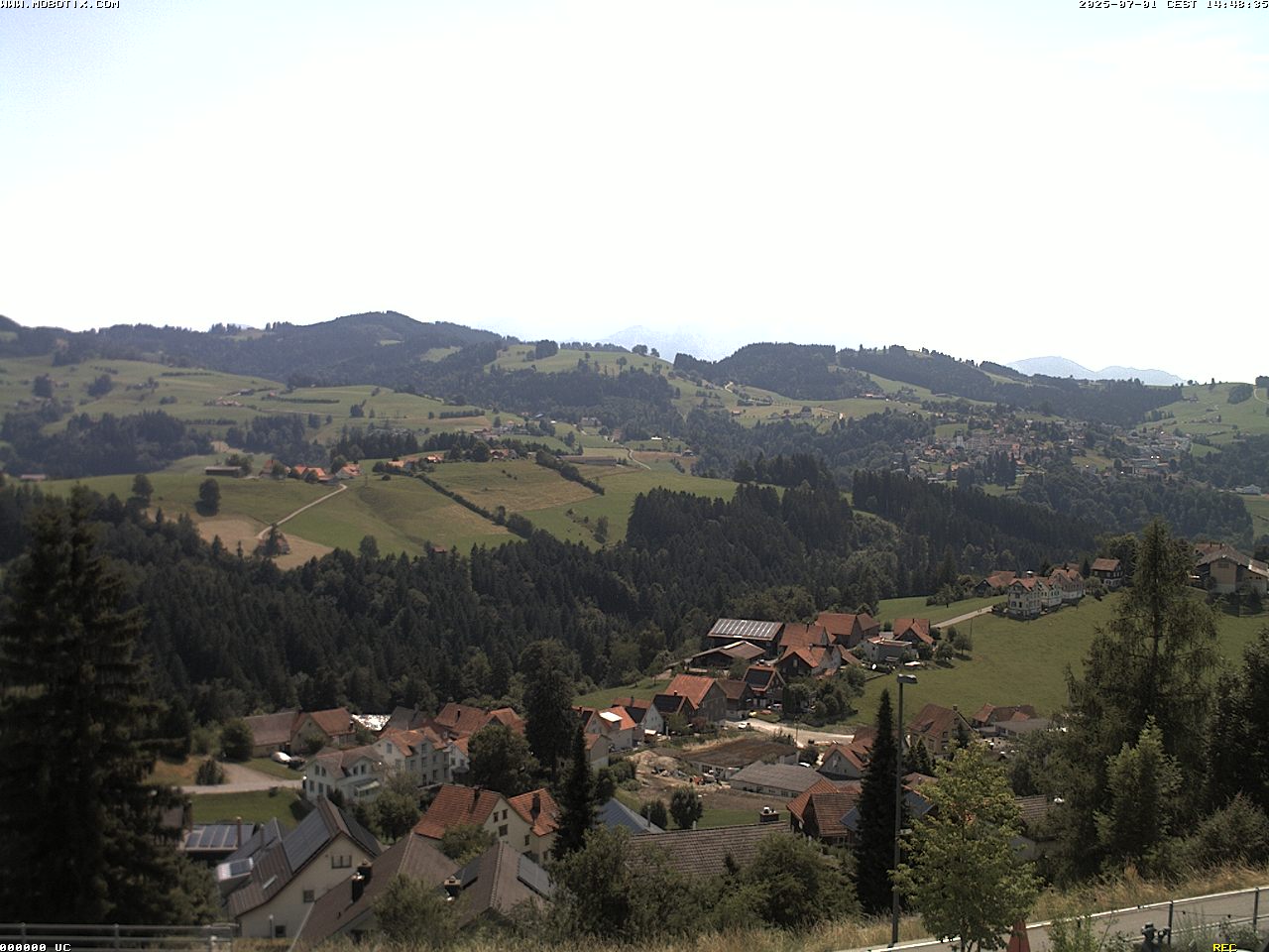 Camera Live Image