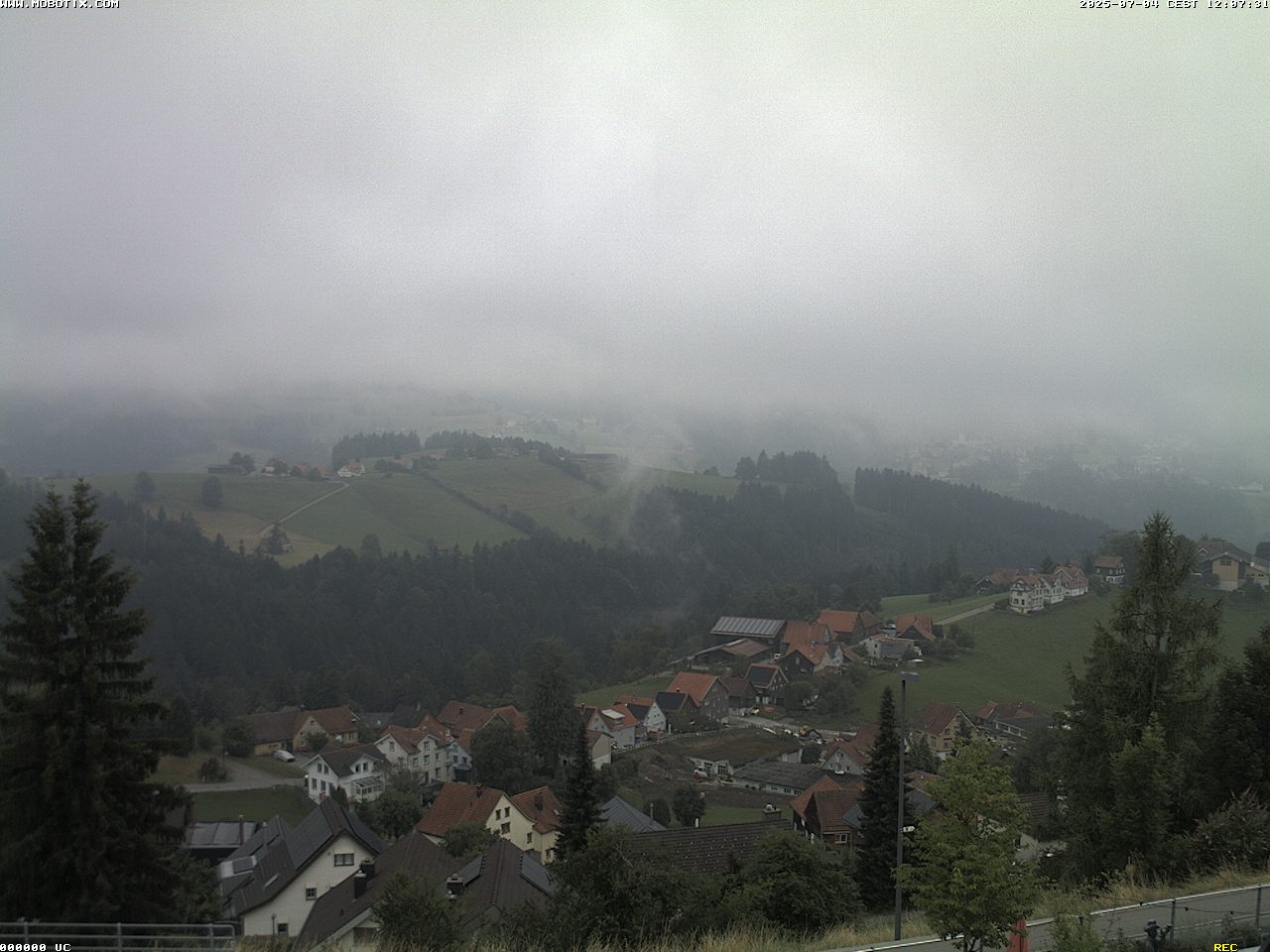 Camera Live Image